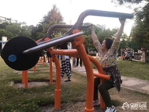 金湖翠湖公園新增力量型運(yùn)動器材,成為一道靚麗的風(fēng)景線