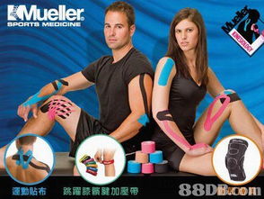 德成運動用品公司提供大型運動器材,籃球架,乒乓球臺等產(chǎn)品